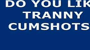 Big Shooter Ladyboy In Crossdressing Transsexual Fetish Scene