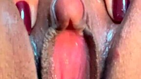 corno filmed everything and came red rose