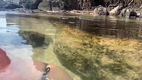 Stranger feeds my cum to fish publicly on beach with big cock handjob