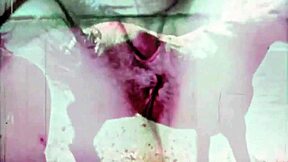 Vintage Taboo Outdoor Pussy And Pooch!