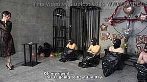 Four Masochistic Men Present Delivered To Mistress Sara