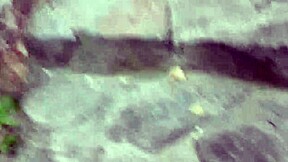 Pingo Na Bunda Partc El Toro De Oro E Paty Bumbum E Casal De Primos