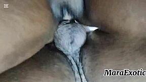 pov ebony hotmilf creamy hairy pussy backshots - mara exotic