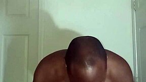 lizard exercises differ from spider and squid while all are scorpio zodiac animals