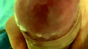 pekeshow1620 - update 14 - e6b3ec9b-3b2d-41e4-8e34-004934bf06b7 - mar 05 2025