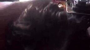 Kandy Kane: A Delightful Introduction to Her World and Creative Journey