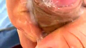 pekeshow1620 - update 14 - e6b3ec9b-3b2d-41e4-8e34-004934bf06b7 - mar 05 2025