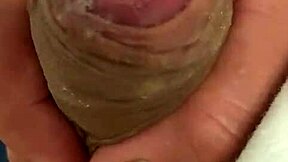 pekeshow1620 - update 14 - e6b3ec9b-3b2d-41e4-8e34-004934bf06b7 - mar 05 2025