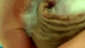 pekeshow1620 - update 14 - e6b3ec9b-3b2d-41e4-8e34-004934bf06b7 - mar 05 2025