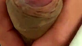 pekeshow1620 - update 14 - e6b3ec9b-3b2d-41e4-8e34-004934bf06b7 - mar 05 2025