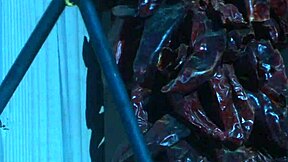 Brooke Ballentyne Still Has Her Riding Chaps On As She Gets Creampied SqF