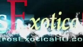 Perfect Cock Sucking Technique