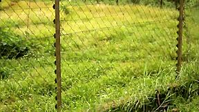 These Two Tourists Crossing Paths In A Park Could Discover Unexplored Places And Memorable Moments Together