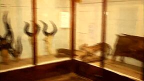 These Two Tourists Crossing Paths In A Park Could Discover Unexplored Places And Memorable Moments Together