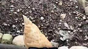 A Chicken Feeding Station How Cool Is That - Tattoos Tattedup Inkedgirl Inkedtattoo Inkedup Tattooart Inkedgirls