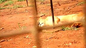 These Two Tourists Crossing Paths In A Park Could Discover Unexplored Places And Memorable Moments Together