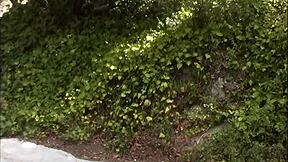 gauge says, 'ride dick in stockings'