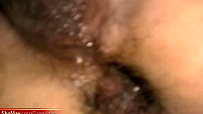 Watch me strip and fuck this eggplant, the slim ladyboy says