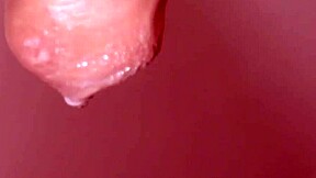 fuck my japanese wife in pov blowjob close up