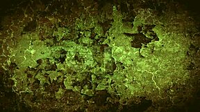 Vintage Bizarre Diaries Reveal Secret 19th Century Life!