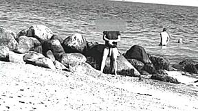 huge cock nude beach 10 inch nudist nude voyeur cock monster cock big cock