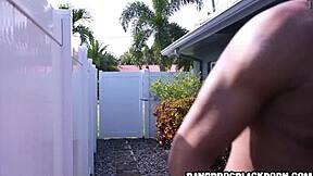 sucking her neighbors huge black cock in a casual neighborhood encounter