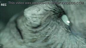 Ashley from Resident Evil Performs a Seductive Dance and Striptease.