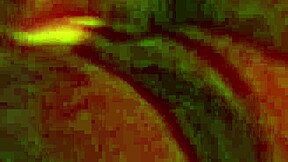 Latina Wife Calling Cuckold While Getting Fucked with Big Ass Tattoo