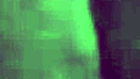 Amateur couple engages in doggystyle with big ass focus.