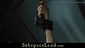 Intensely punished in the attic after box-bandaging for rough fuck