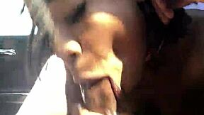 hazel grace sucking dick in car to stranger