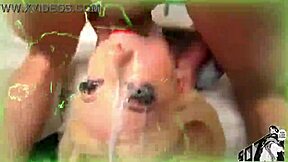 Pmv - monton de putas folladas bad intentions features anal assfucking big ass blowjob creampie cum cumshot music