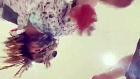 Cruella Craves BBC for Bareback Doggystyle and Creampie