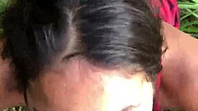 novinha wants to fuck in the mato?