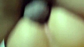 Personal me deu treino em casa