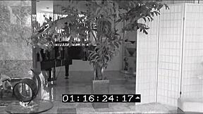 Stephanie Kane Is Only 18 But Is Ready For A Stiff Dick