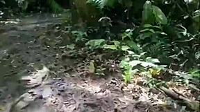 Let's Create A Delicious Orgy With Exhibitionists Flashing Everywhere