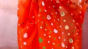 Saree Wearing Indian Woman Posed