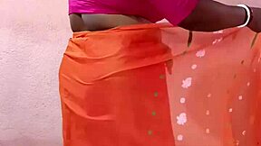 Saree Wearing Indian Woman Posed