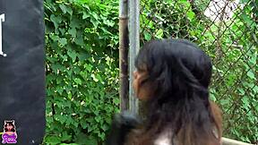 practicando boxeo golpeo al vecino y termino chupandole su gran verga y dejandome follar