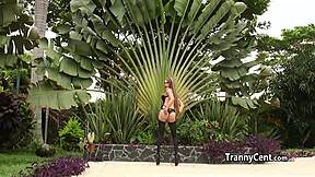 shemale beauty gets gangbanged hard by multiple cocks