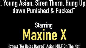 Cambodian Cougar Maxinex Binds