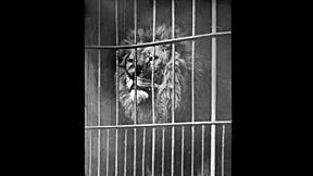 Introducing my secret life in vintage style.