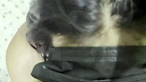 Cream from cock all inside mouth feels so sweet