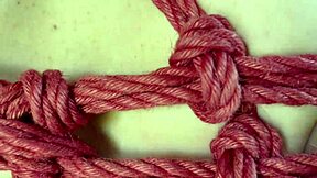 Does the tied-up babe devour my big hard boner?