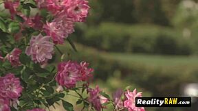 Stunning swinger babes swap partners for oral sex.