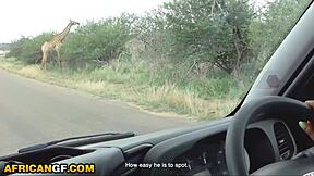 Damn, Naughty Kenyan Girlfriend Gets Brattiness Fucked Out by Hung BF!