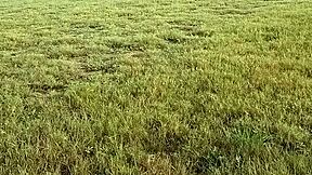 Major is a teen featured in a reality show