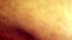 Trade Fucking This Ass Tampa