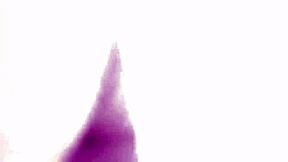 the chubby brazilian neighbor with big natural tits teased me with cleavage and moaned loudly